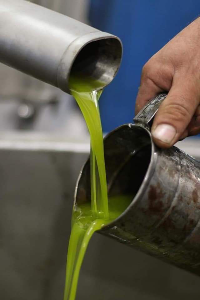 Extra Virgin Olive Oil 500ml