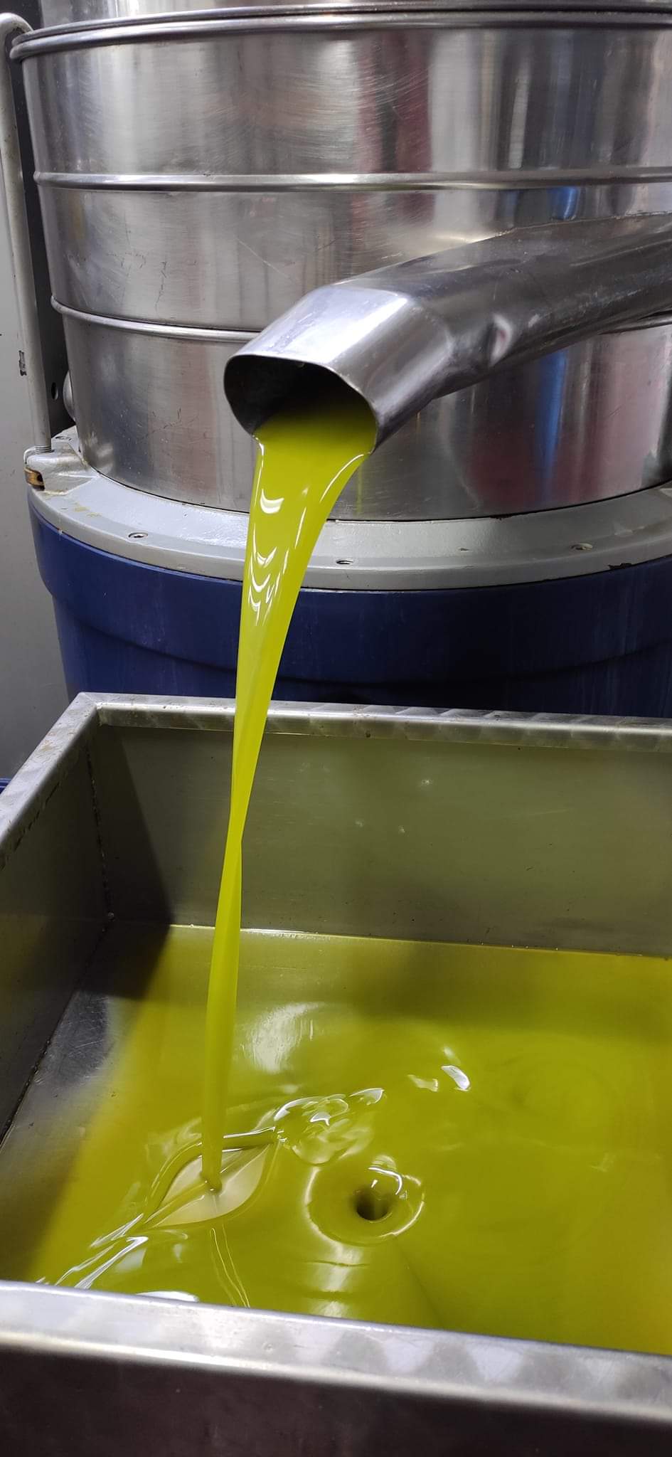 Extra Virgin Olive Oil 250ml