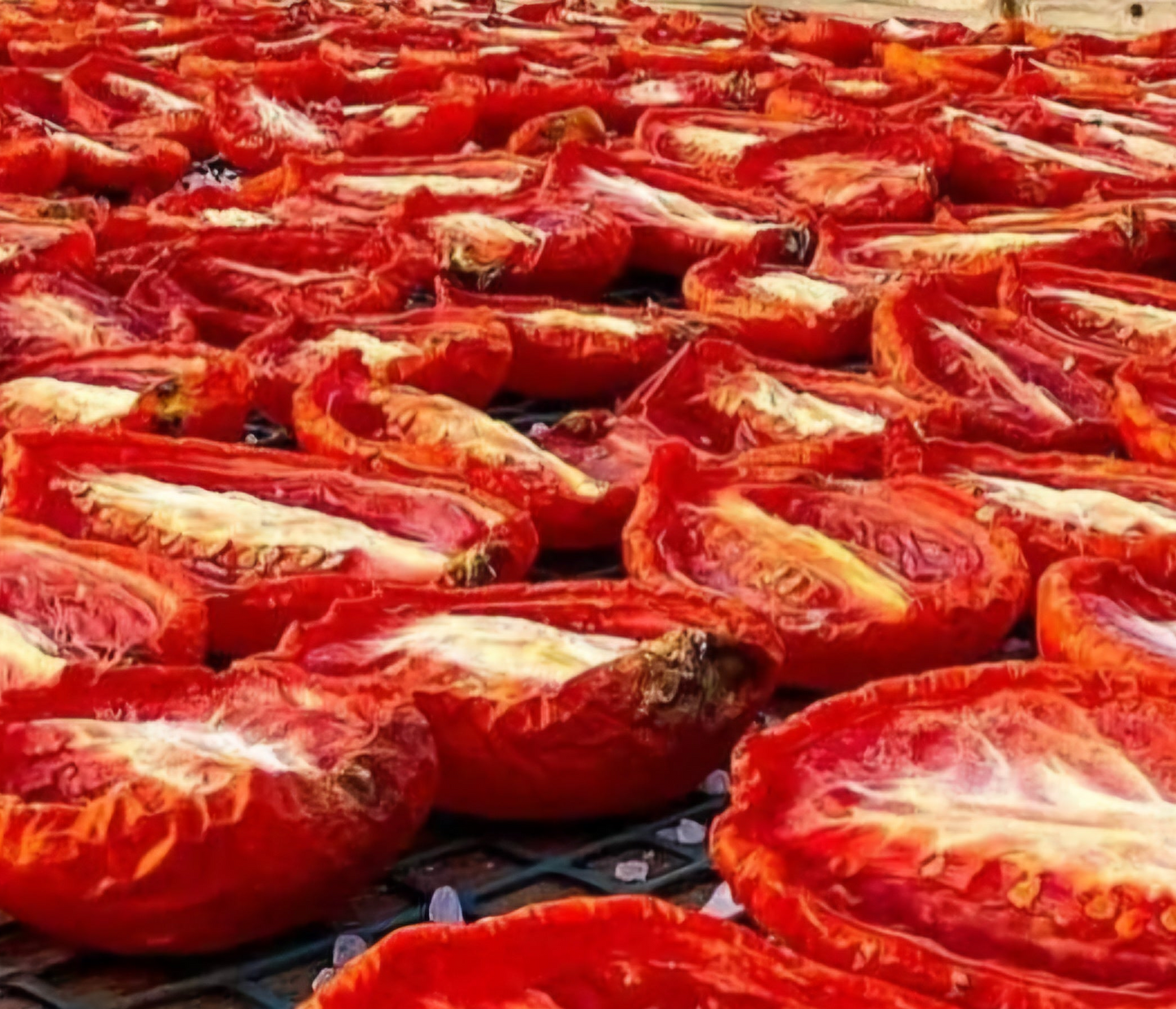 Pate di Pomodoro Secco